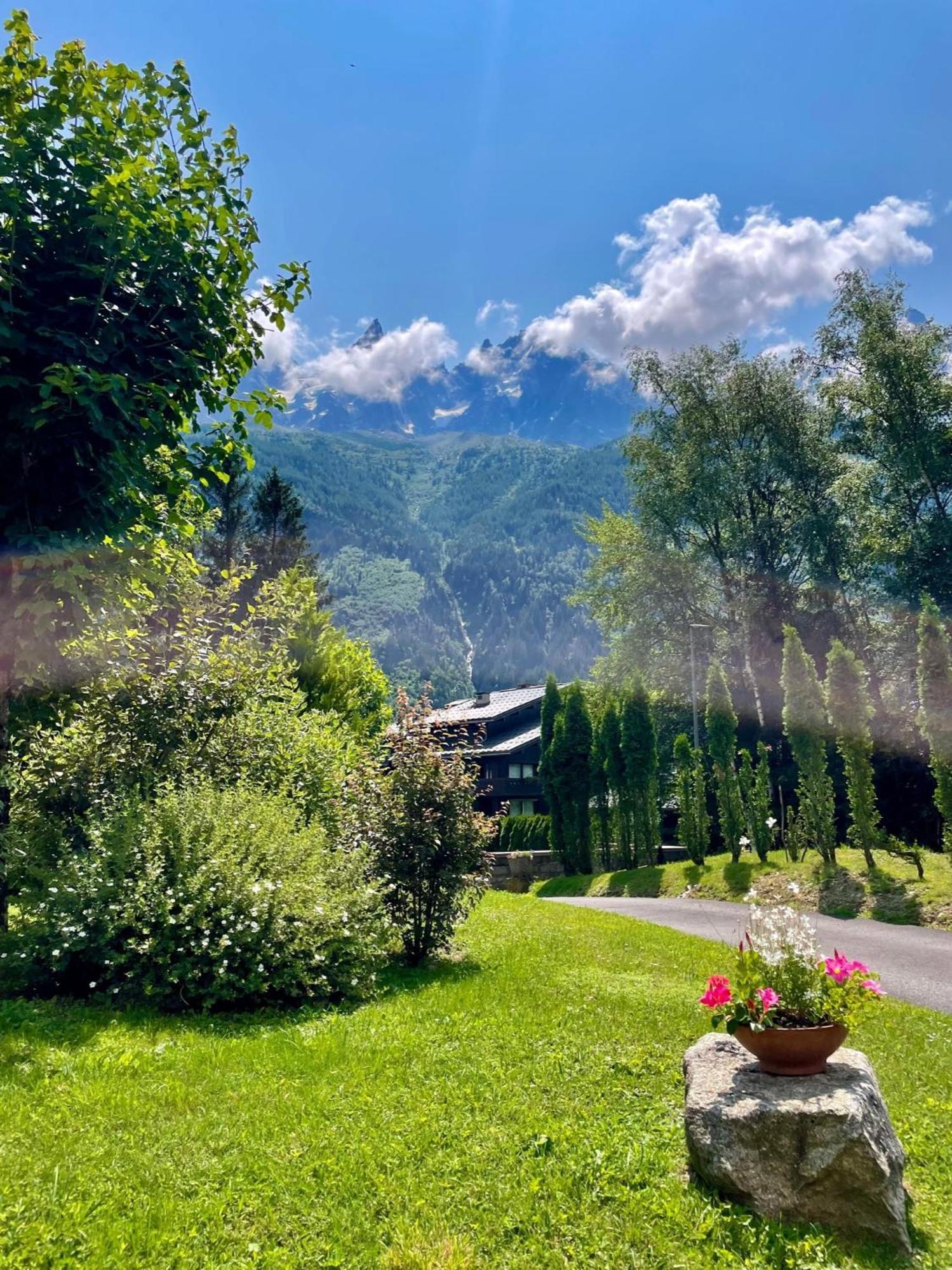 Chalet Hotel La Sapiniere Chamonix Exterior photo